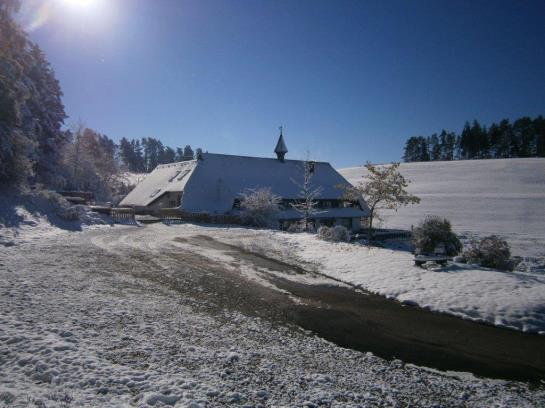 Пансион Landgasthof Berghof