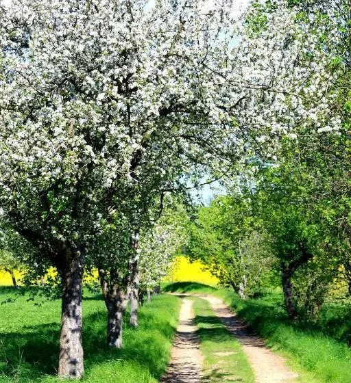 호텔 Landhaus Heidehof