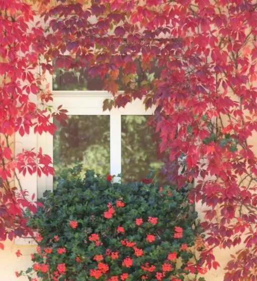 호텔 Landhaus Heidehof