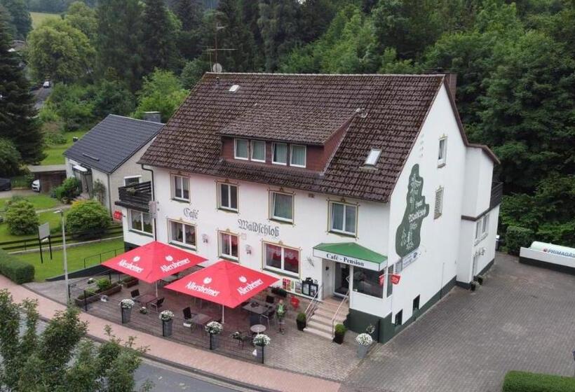 酒店 Pension Waldschloß