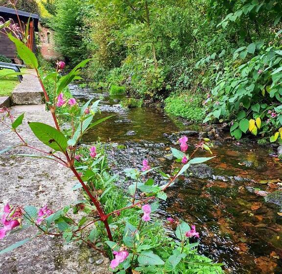 酒店 Pension Waldschloß