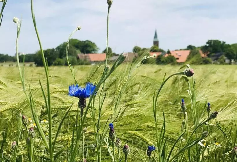 호텔 Plater Hermann