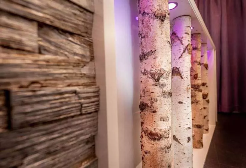 בית מלון כפרי Stadt Heidelberg