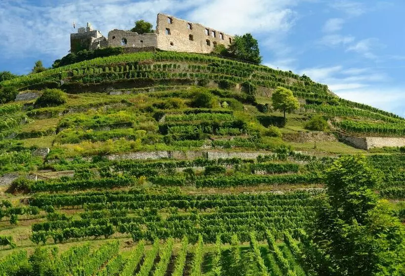 펜션 Der Löwen In Staufen