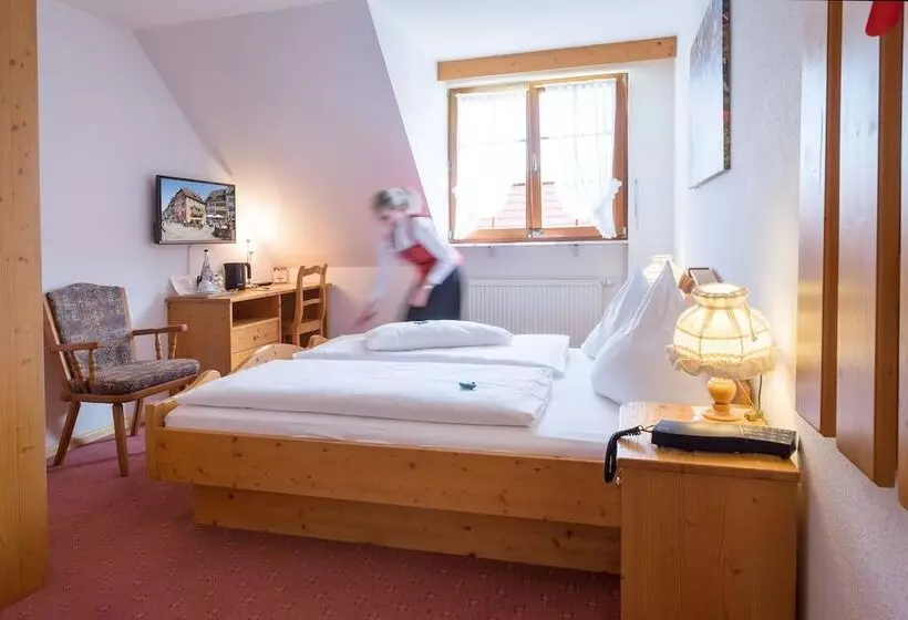 펜션 Der Löwen In Staufen