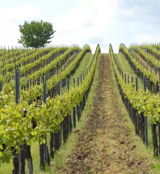 بنسيون Gästehaus Kleine Kalmit