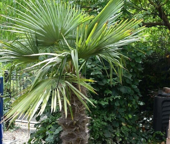 פנסיון Gästehaus Nagoldblick