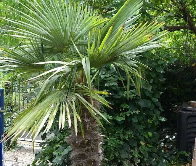 펜션 Gästehaus Nagoldblick