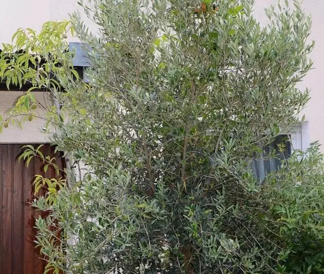 펜션 Gästehaus Nagoldblick