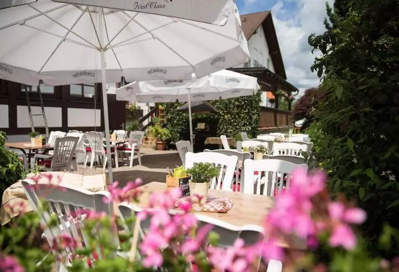 펜션 Landgasthof & Brauerei Löwen Sasbach