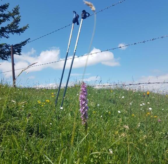 B&b Hotel Das Onkel Fritz