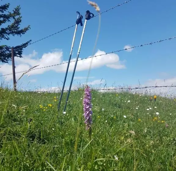 B&b Hotel Das Onkel Fritz