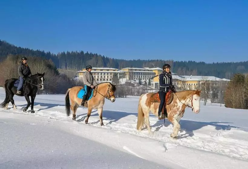 Отель Aldiana Club Ampflwang