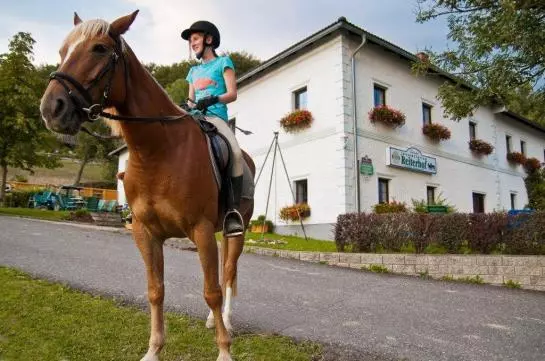 Bauernhof Reiterhof Knoebelsteiner
