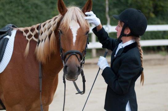 Bauernhof Reiterhof Knoebelsteiner
