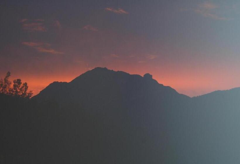 Отель Gästehaus Pension Edelweiss