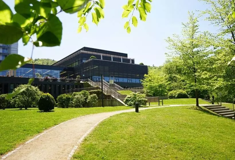 בית מלון כפרי Lufthansa Seeheim More Than A Conference