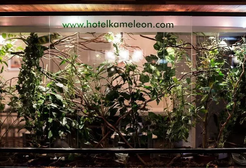 酒店 &spa Kameleon