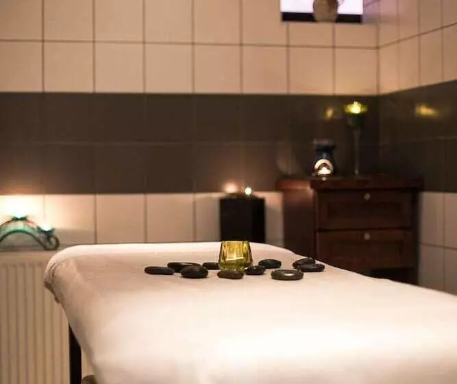 酒店 &spa Kameleon