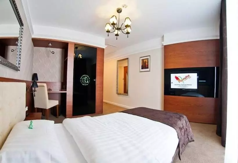 酒店 &spa Kameleon