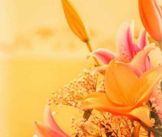 فندق Tschurtschenthaler