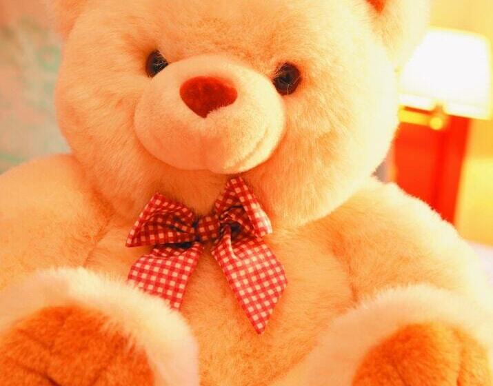 فندق Tschurtschenthaler