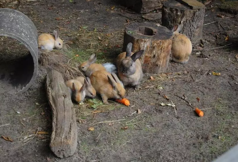 Land Gut Hotel Allerhof