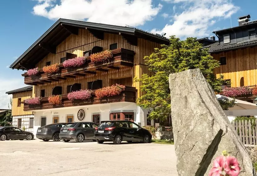 膳宿费 Gasthof Steinerwirt