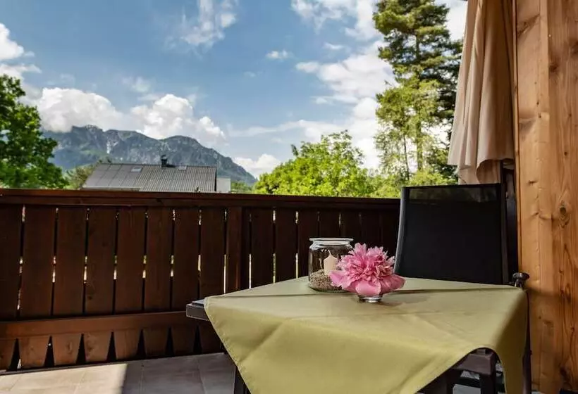 膳宿费 Gasthof Steinerwirt