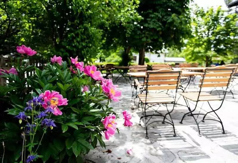 膳宿费 Gasthof Steinerwirt