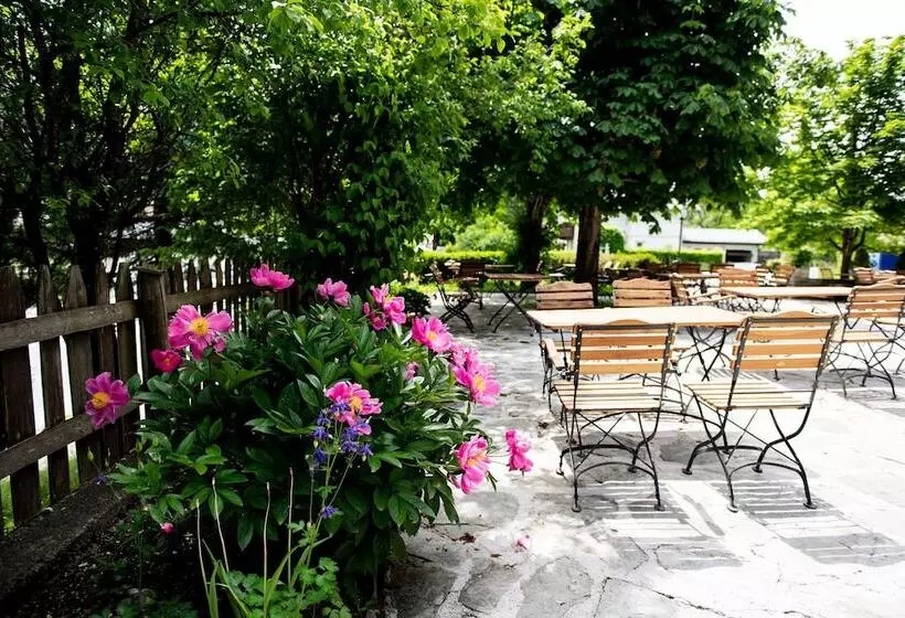 膳宿费 Gasthof Steinerwirt