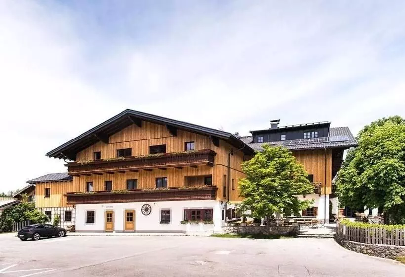 膳宿费 Gasthof Steinerwirt