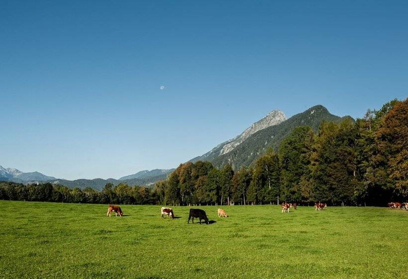 פנסיון Gasthof Steinerwirt