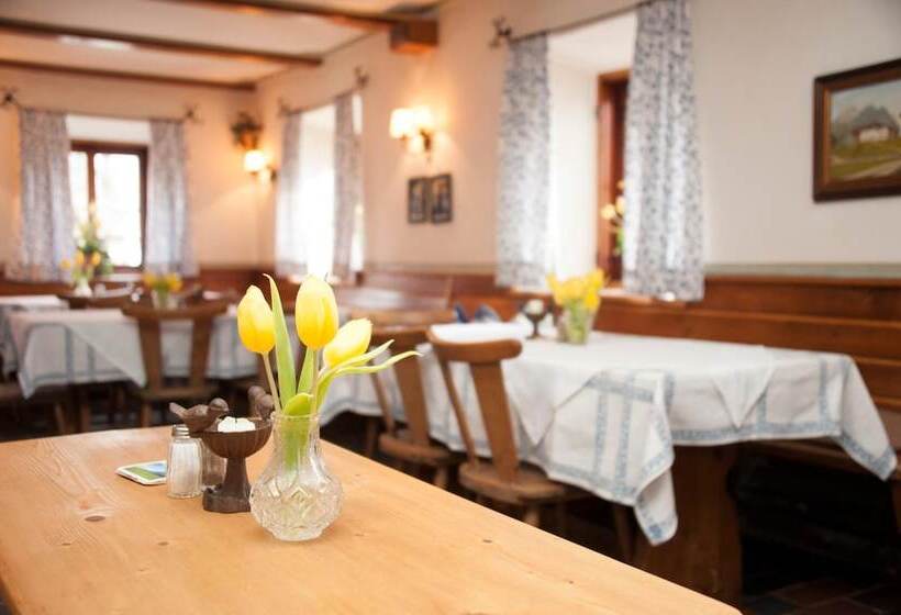 פנסיון Gasthof Steinerwirt