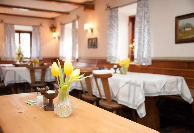 膳宿费 Gasthof Steinerwirt