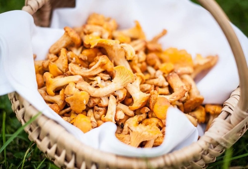 פנסיון Gasthof Steinerwirt