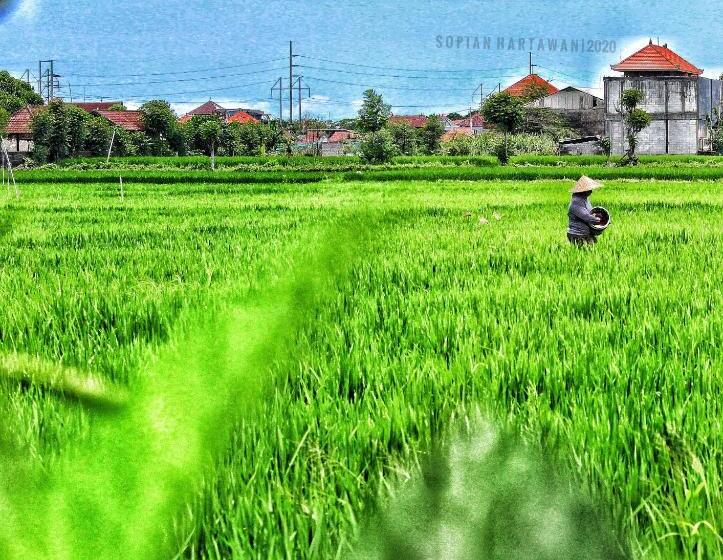 فندق صغير Bali Eco Living Yoga Healing Meditation And Retreat Center