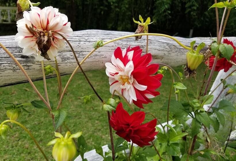 Hostel Hacienda San Isidro De Iltaqui