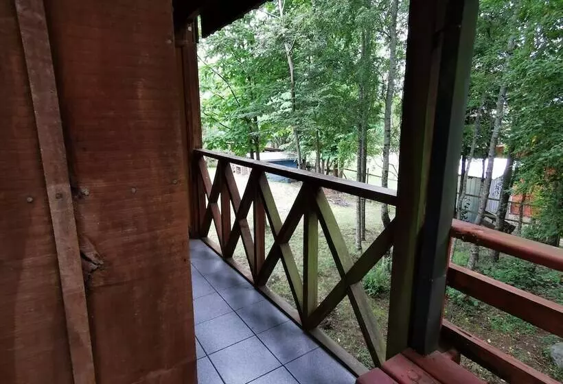 Cabana Pudomo En Conaripe   Cercana Al Lago