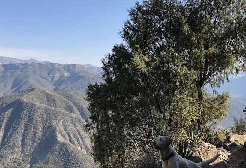 ホテル Boutique Calderon