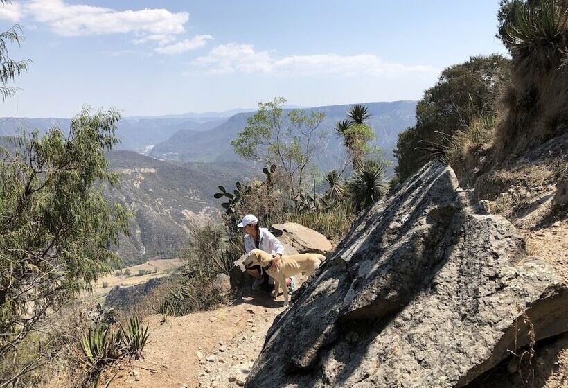 فندق Boutique Calderon