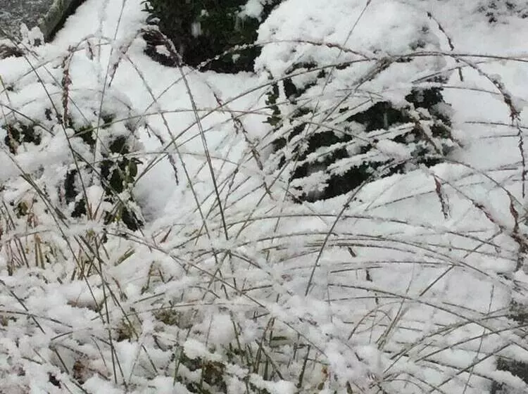 ホテル Hostellerie L Authentique