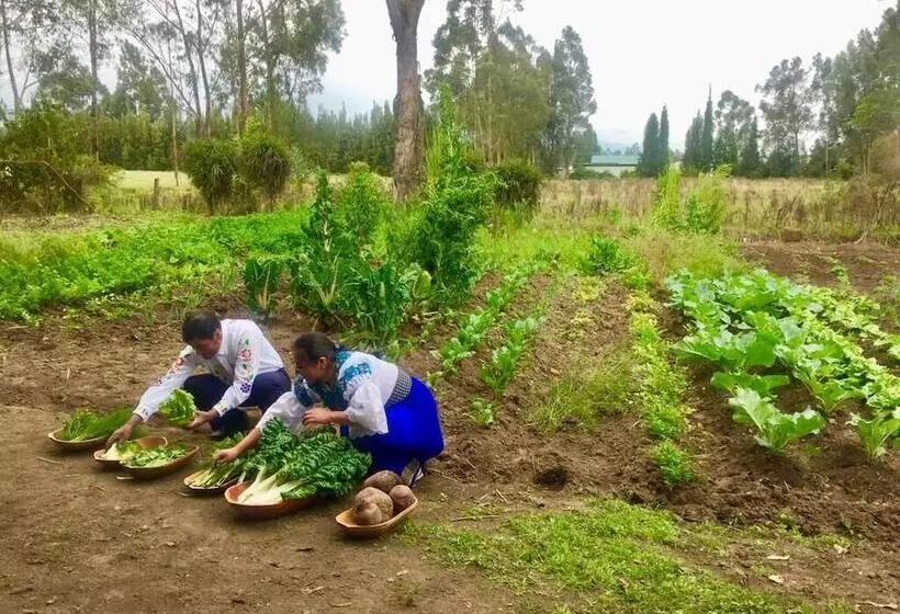 ホテル Molino San Juan Hacienda