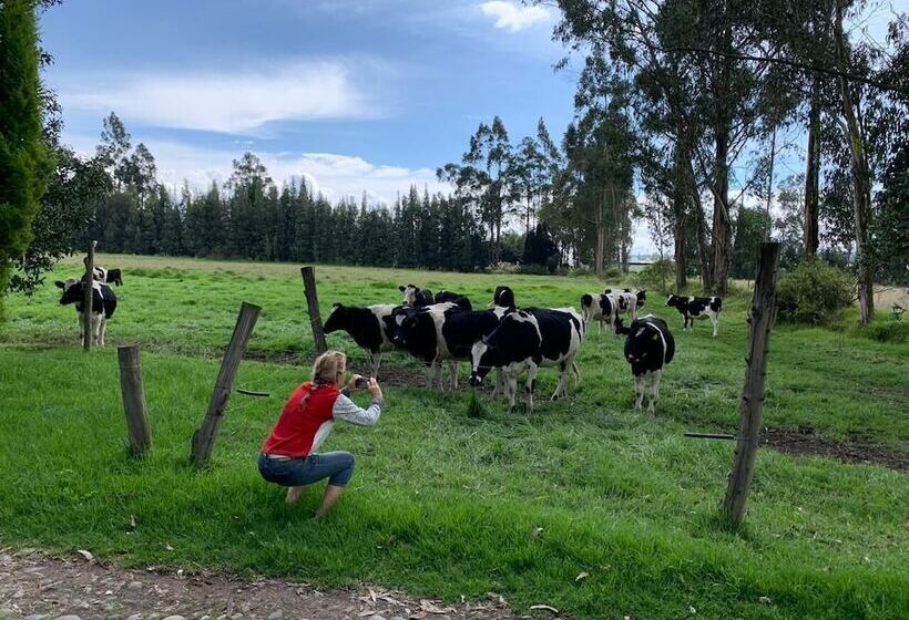 בית מלון כפרי Molino San Juan Hacienda