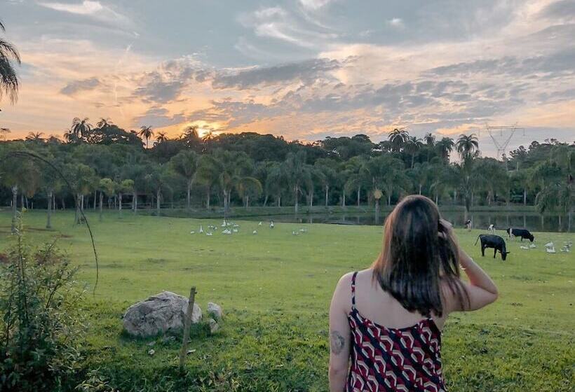 乡村酒店  Fazenda Igarapés