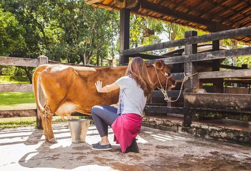 Maaseutuhotelli Fazenda Igarapés