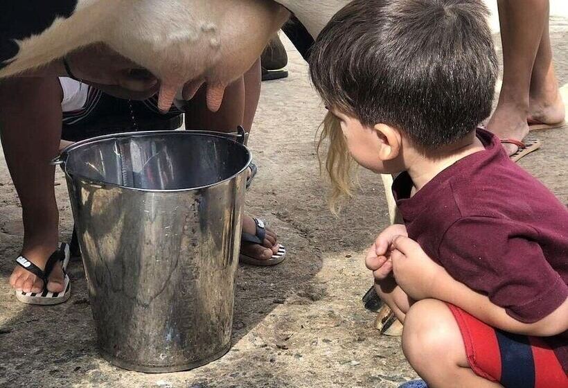 乡村酒店  Fazenda Igarapés
