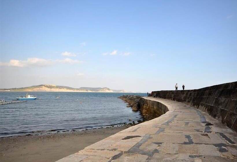 Leys At Valley View Farm