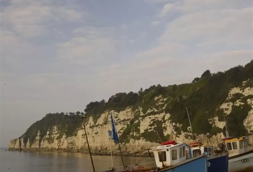 Leys At Valley View Farm