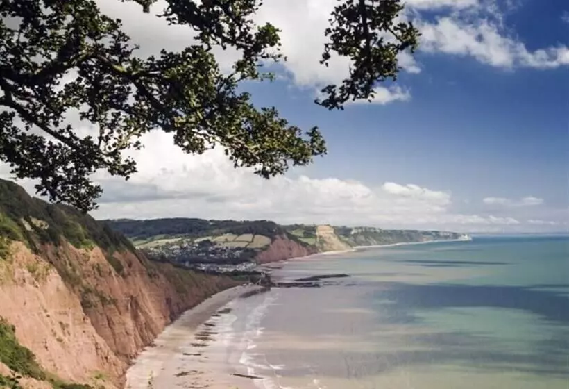 Leys At Valley View Farm